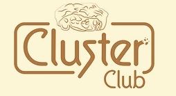 Cluster Club